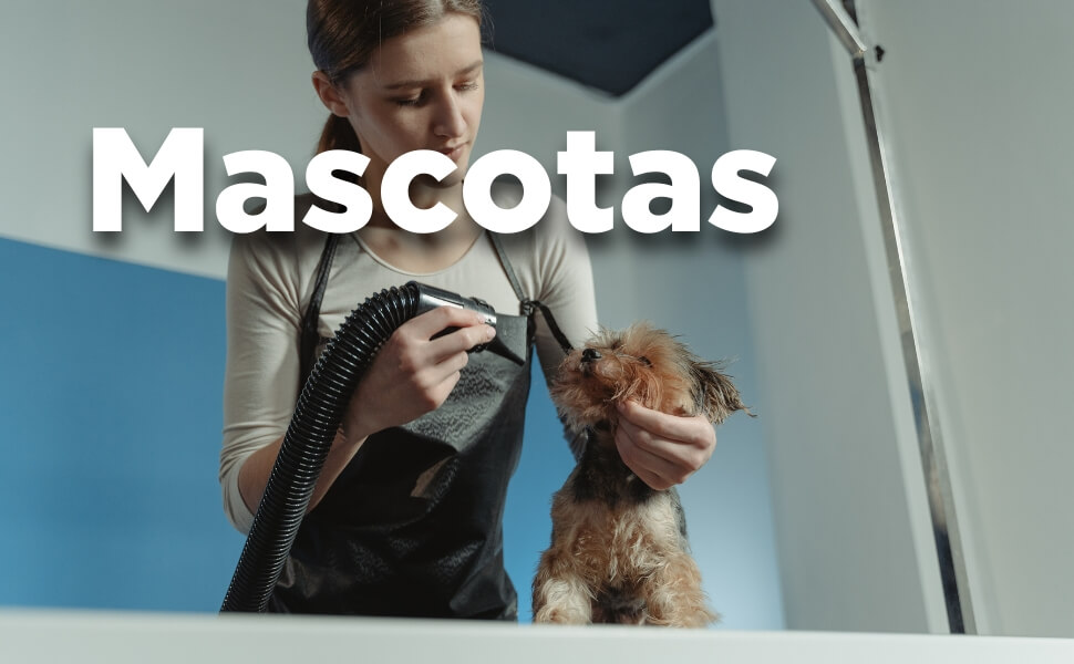 Mascotas